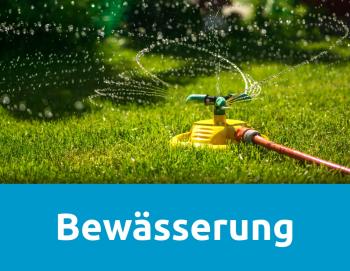 Smarte Bewässerung